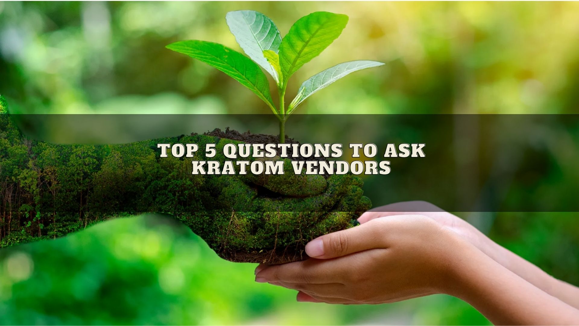 Kures Apothecary|Top 5 Questions to Ask Kratom Vendors about Their Lab Testing Practices