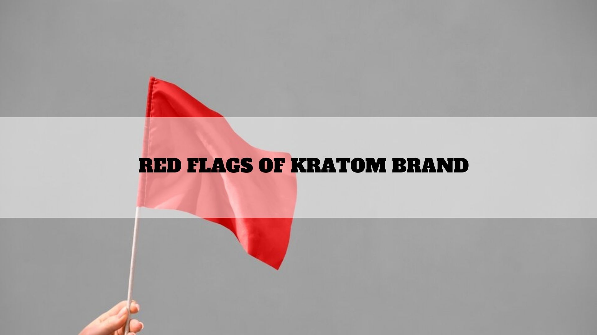 Kures Apothecary|Top 5 Red Flags that a Kratom Brand may be Cutting Corners