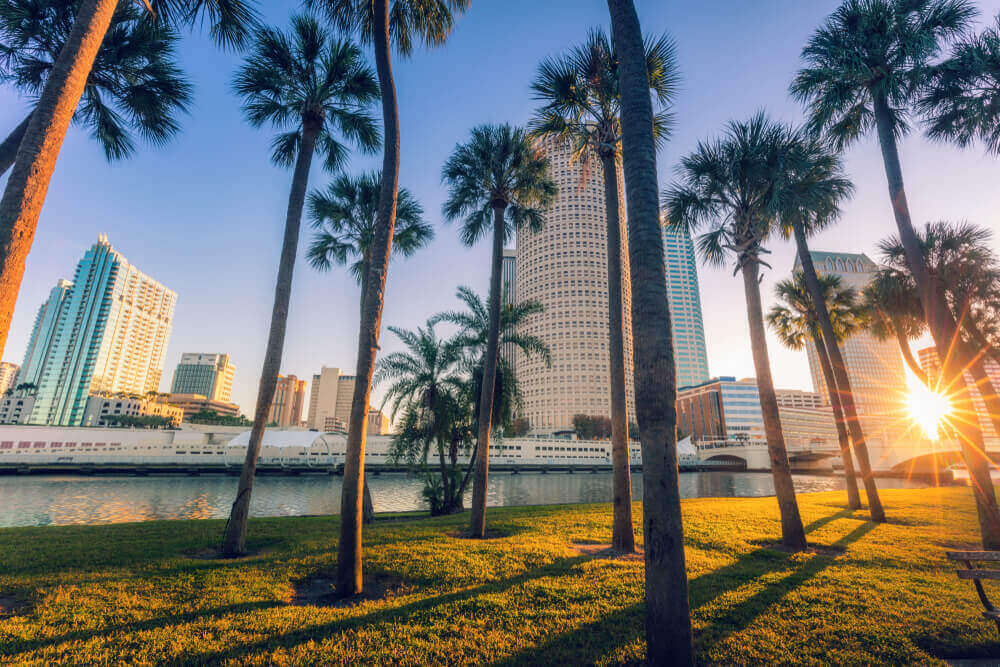 sunrise downtown tampa place to buy kratom in tampa